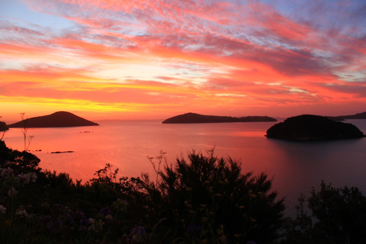 Coromandel Cottages Luaran gambar