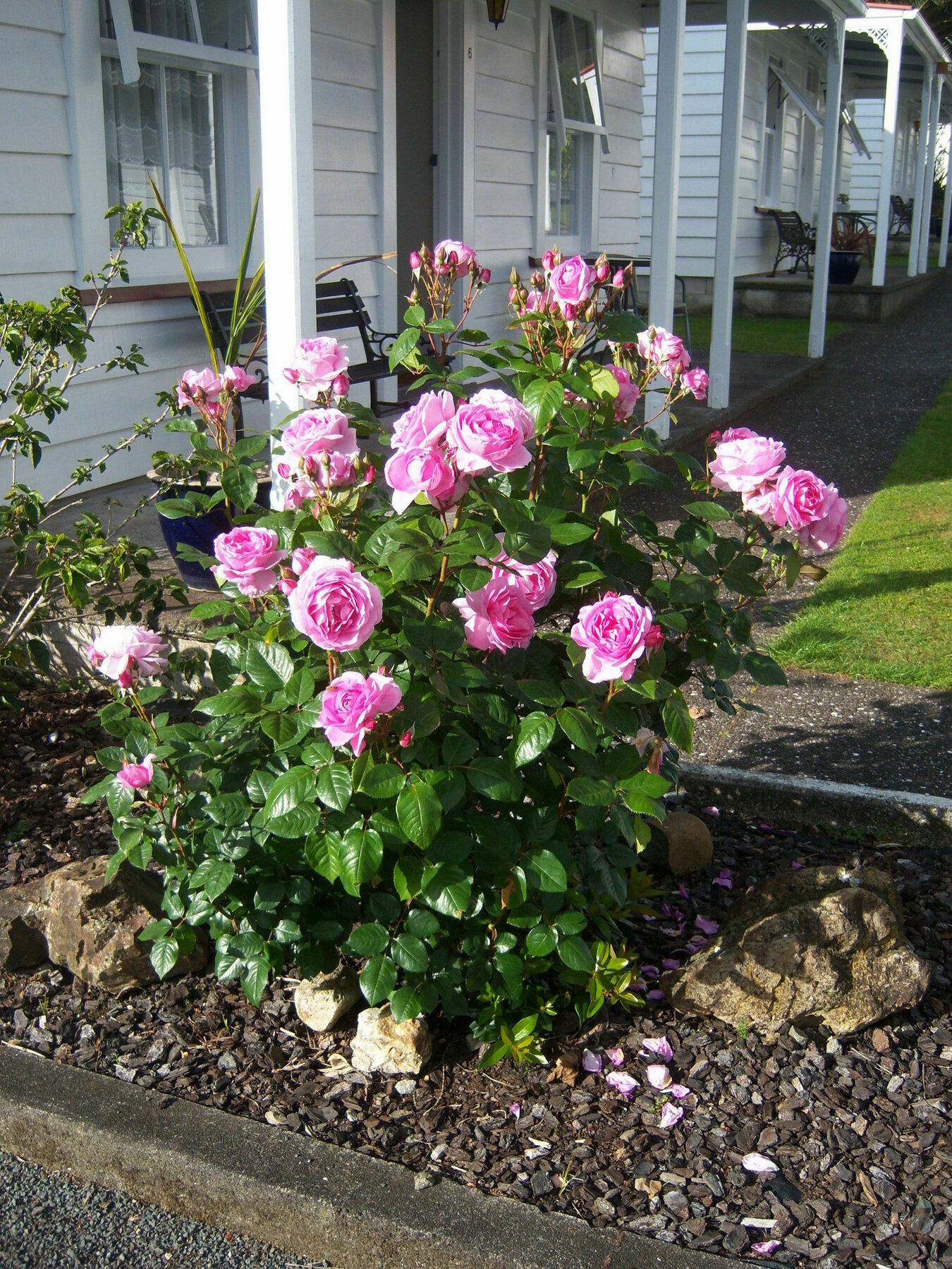 Coromandel Cottages Luaran gambar